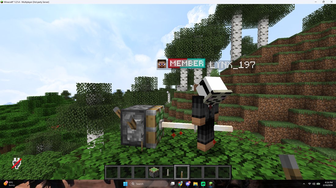 A member walking through a birch forest on Nightmare SMP